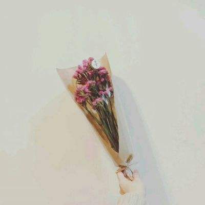 天使战纪bt变态版下载
